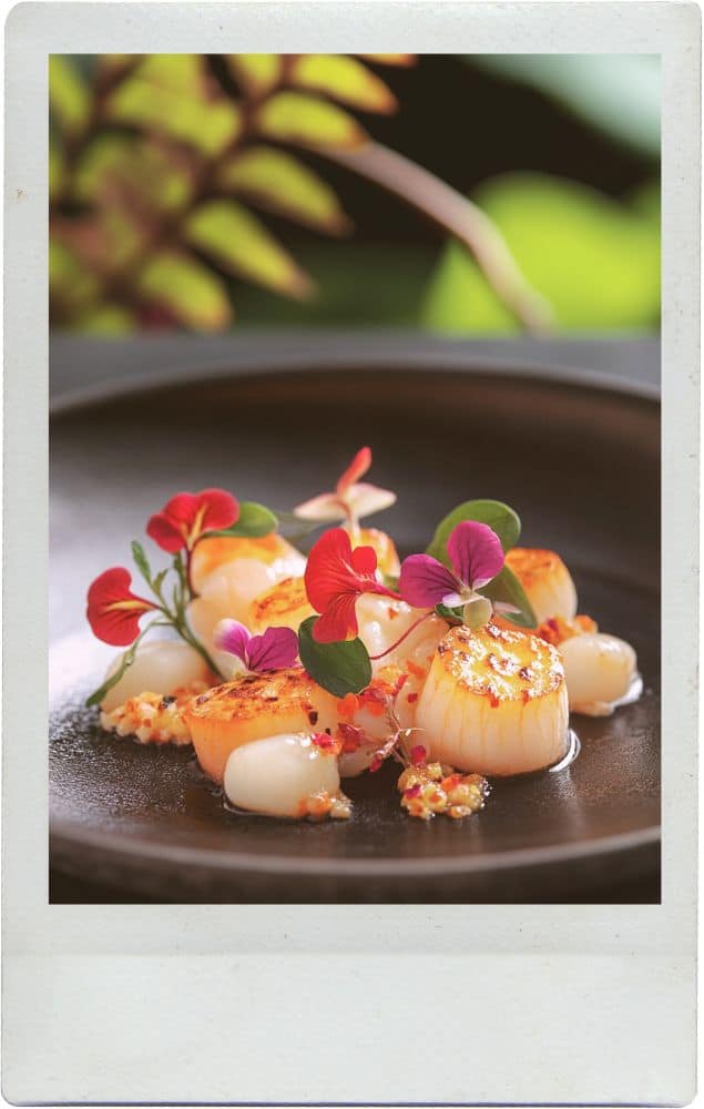 Indulge in Dining: 10 Restaurants in São Miguel, Azores