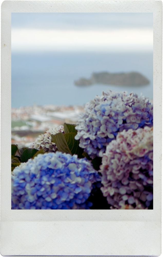 The ULTIMATE Travel Guide to THE AZORES – Everything you need to know